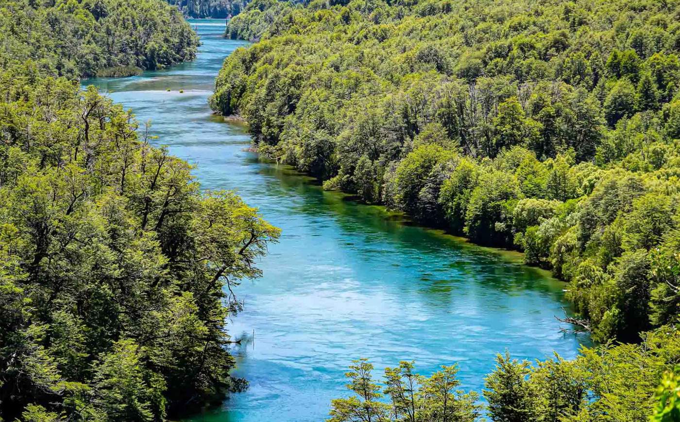 A turquoise river winding between forested banks in Los Alerces National Park