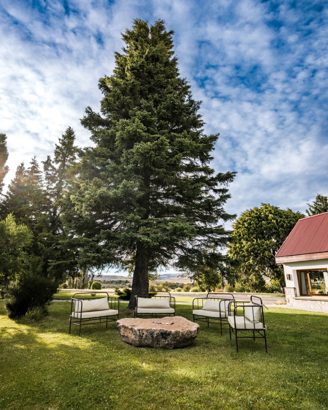An outdoor lounge of upholstered iron-frame chairs gathered around a flat stone slab beneath a tall conifer