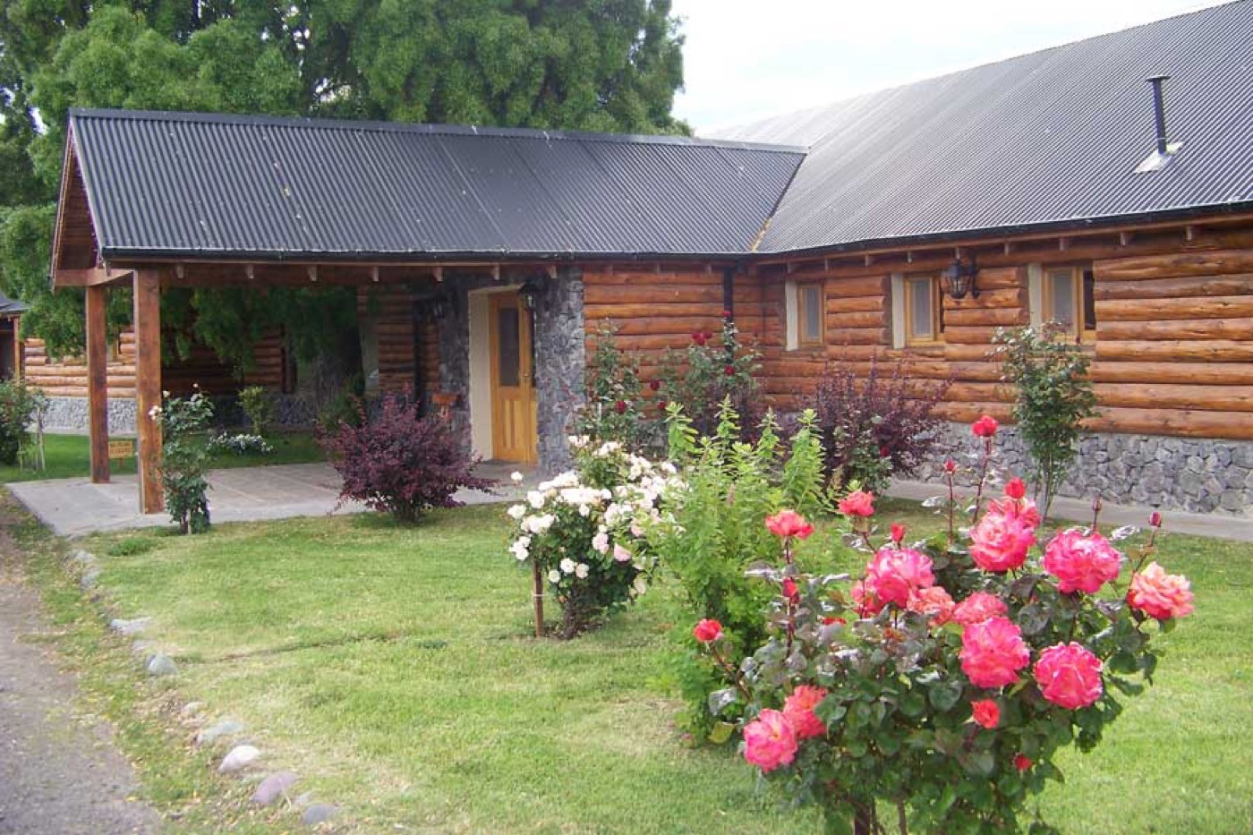 A log-and-stone lodge exterior framed by rose bushes in full bloom