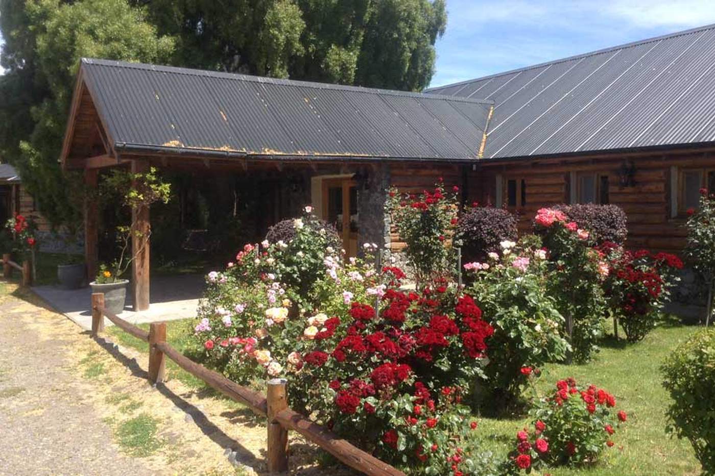 A log cabin exterior framed by a rose garden in full bloom