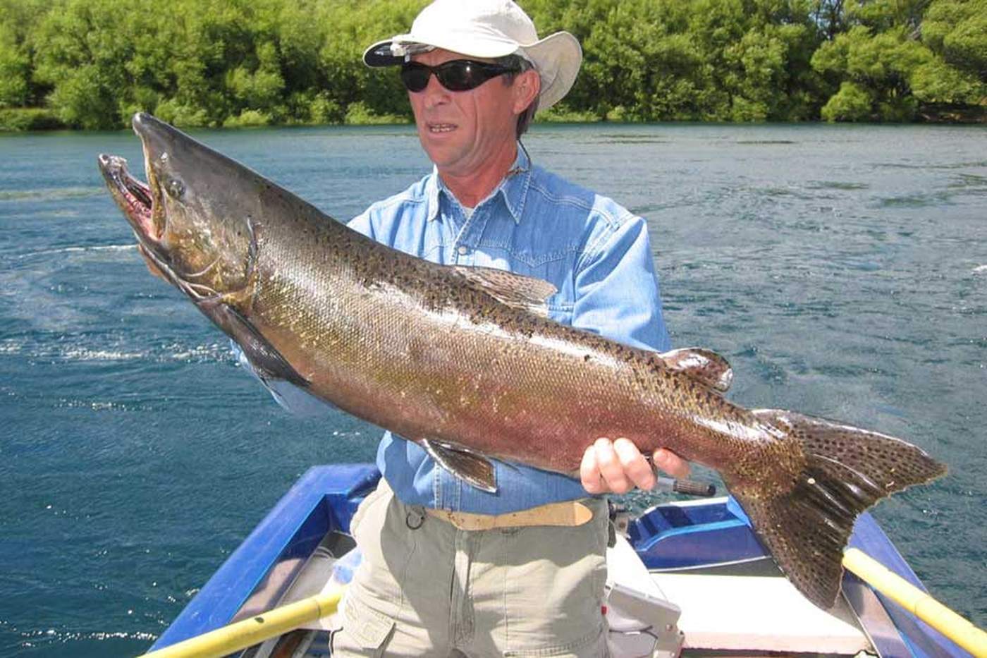 An angler holding up a large salmon on a boat, green riverbank foliage behind