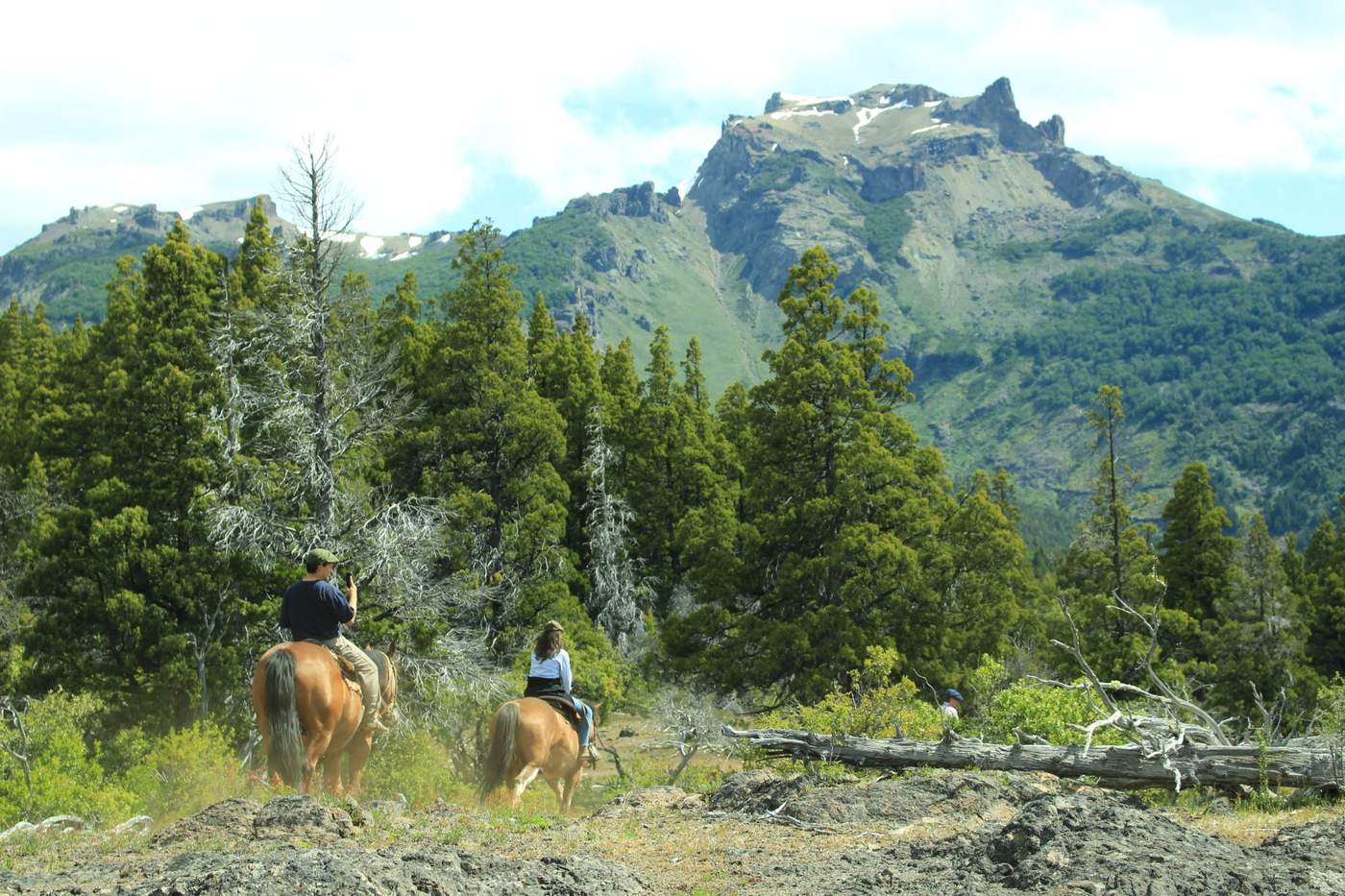 Two riders on horseback heading through a stand of conifers, a snow-dusted peak ahead