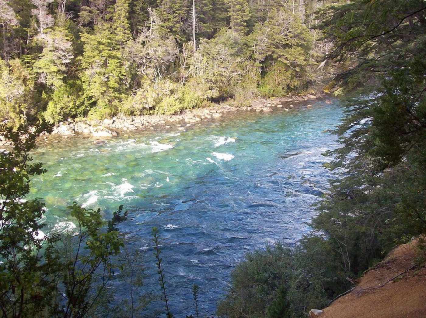 Turquoise water rushing over rocks along a narrow, forested stretch of the river, seen from an elevated bank