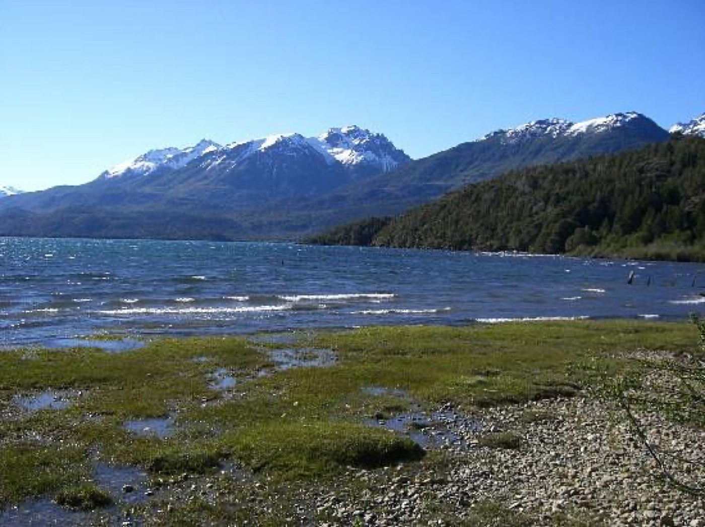 Lago Cholila's grassy shoreline with snow-capped Andes and forested hills across the water