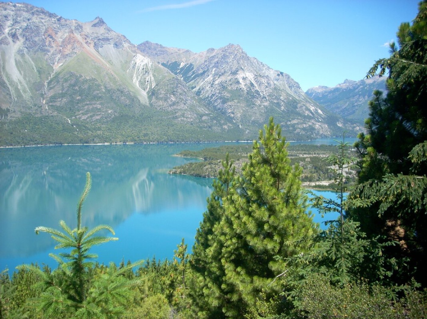 An elevated view of Lago Cholila's turquoise water framed by pine trees, rugged peaks beyond