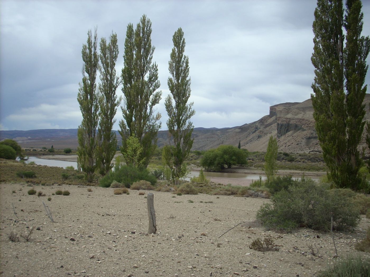 The upper Chubut River winding through steppe country below a flat-topped mesa, tall poplars in the foreground under heavy clouds