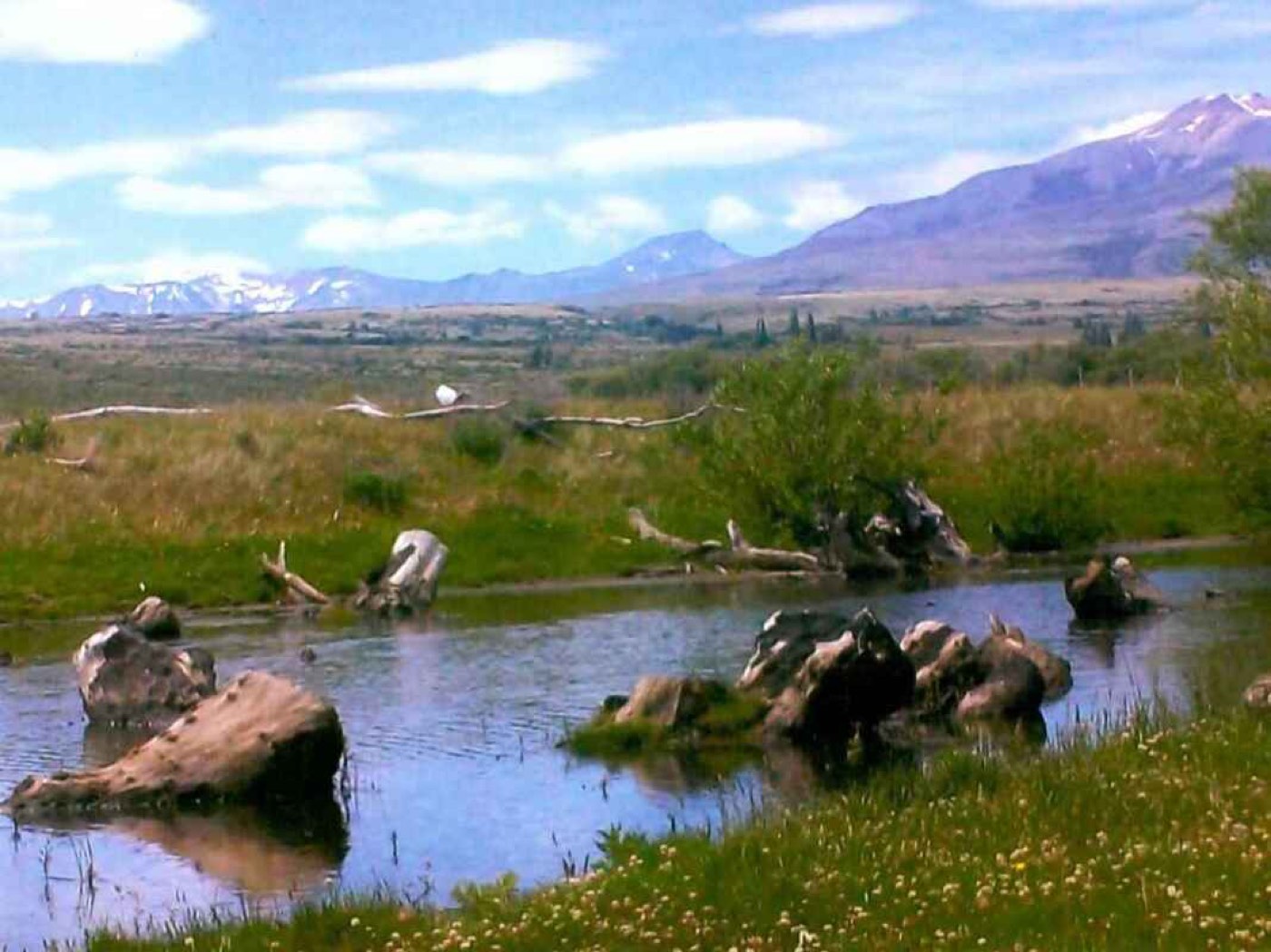 Weathered driftwood and boulders resting in a shallow marshy pond, open grassland and distant mountains behind