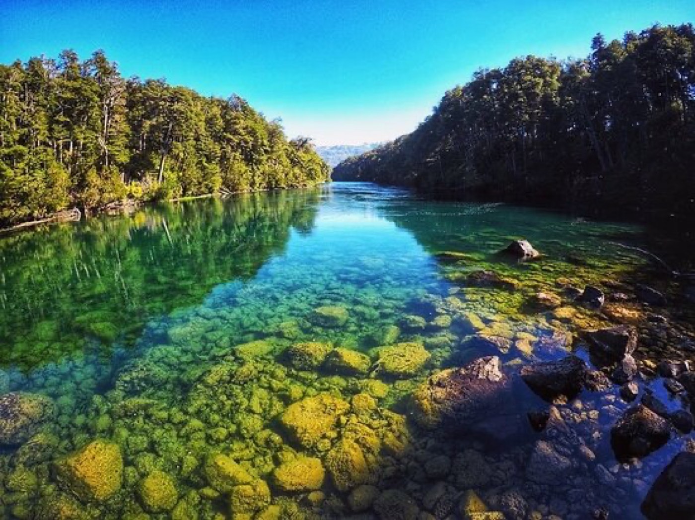 A clear, emerald-green pool ringed by forested banks, sunlit rocks and moss visible beneath the surface