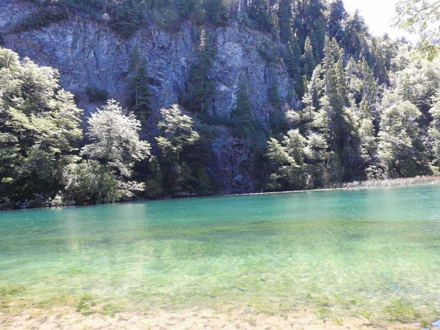 A clear turquoise pool at the base of a tree-lined rock face, sandy shallows in the foreground