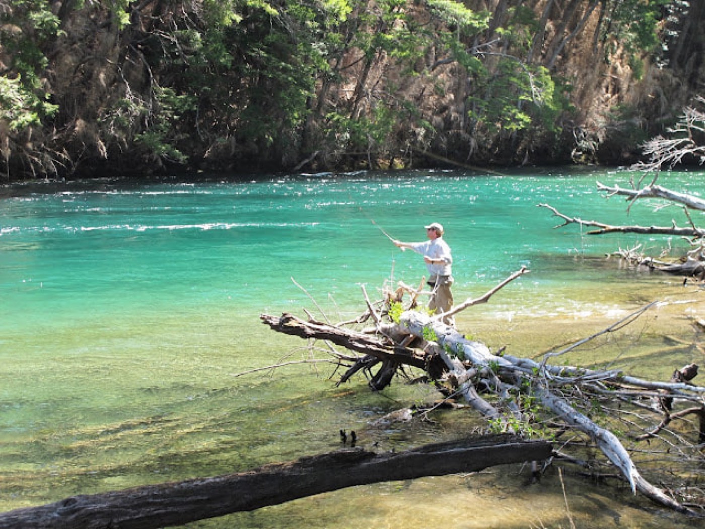 An angler fly fishing in clear teal water among fallen deadfall, forested banks on both sides