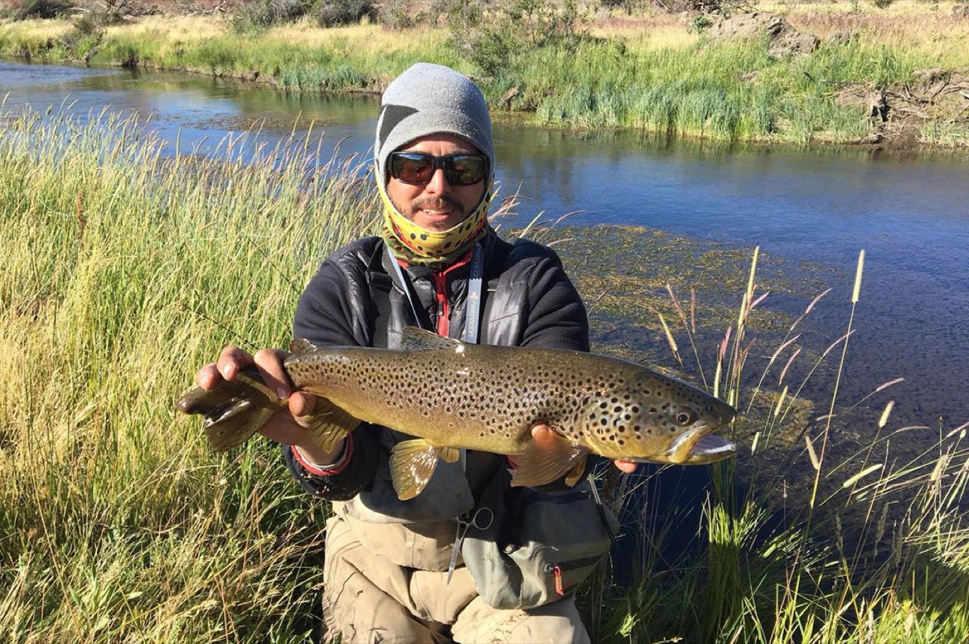 An angler in sunglasses and a beanie holding a large brown trout streamside, tall grass around him